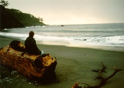 PHOTO OF THE WEEK